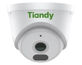 IP camera TIANDY TC-C320N 1CNB-28 купольн,внутр 2MP,IR 30M,MIC