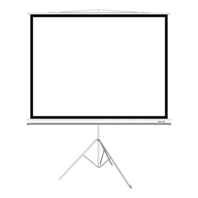 Экран на треноге Deluxe DLS-T244x183W, Рабочая поверхность 244х183 см., 4:3, Matt white, Белый